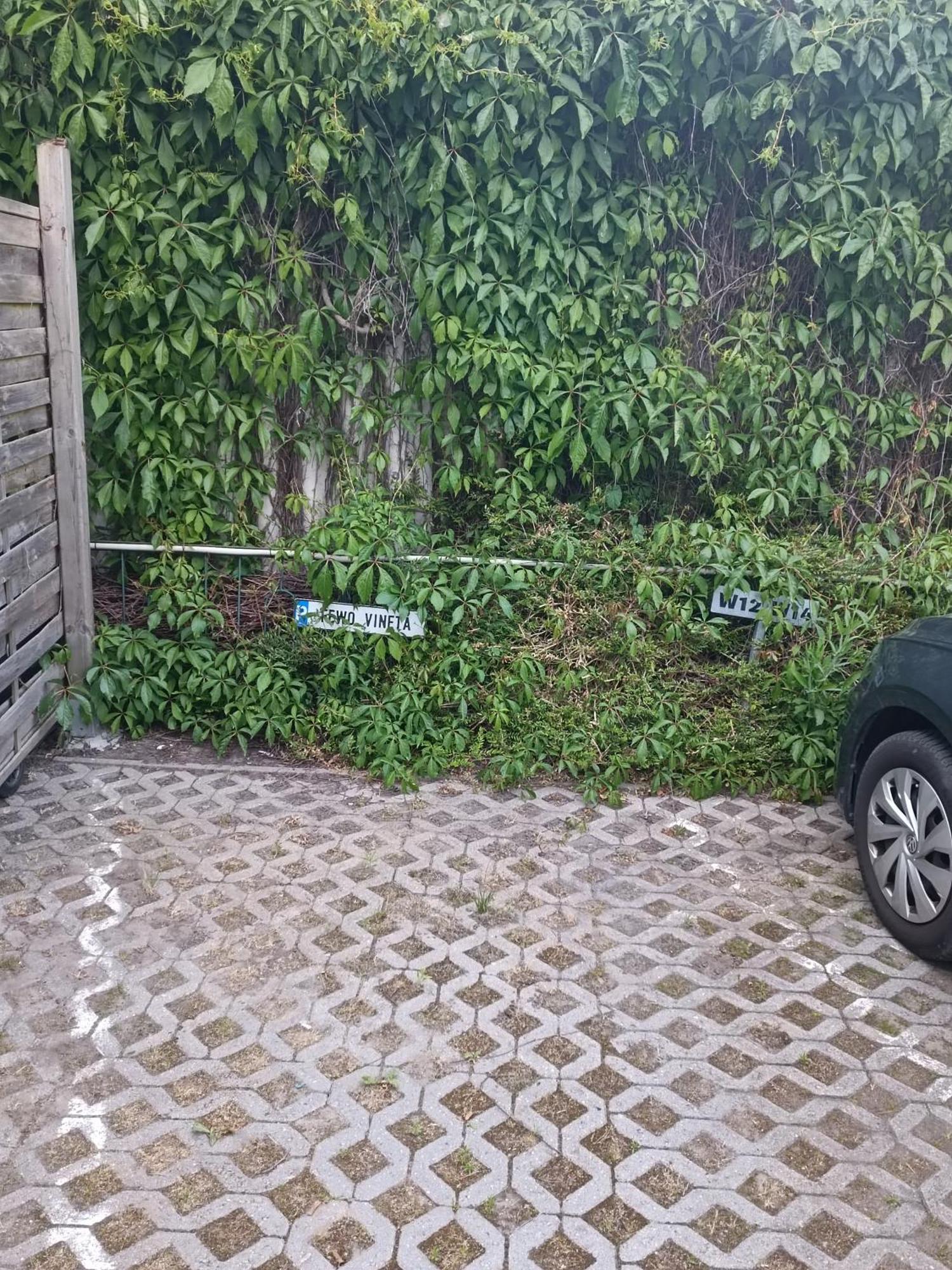 Fewo Vineta Barth Buitenkant foto